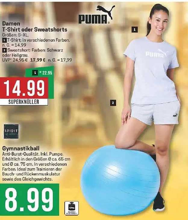 Damen T-Shirt oder Sweatshorts in verschiedenen Farben