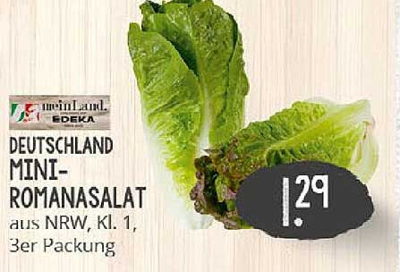 Edeka Mini-Romanasalat 3er Packung
