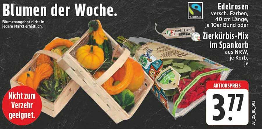 Edelrosen – Verschiedene Farben, je 10er Bund für nur 3,77€