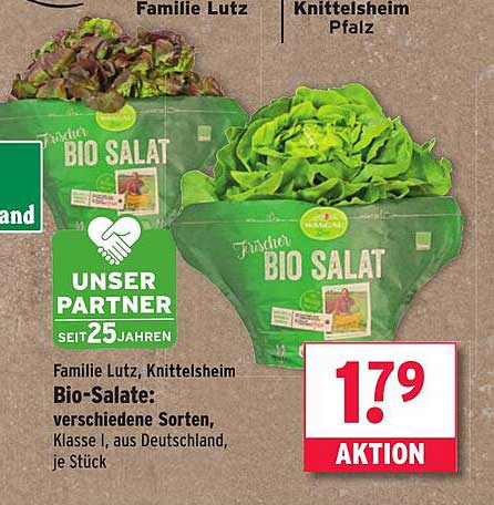 Frischer Bio-Salat: verschiedene Sorten, Klasse I, aus Deutschland, je Stück