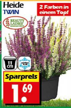 Heide Twin – 2 Farben in einem Topf