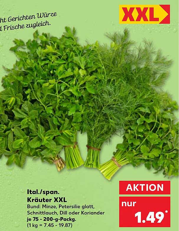 Ital./span. Kräuter XXL Bund: Minze, Petersilie glatt, Schnittlauch, Dill oder Koriander je 75 - 200-g-Pack.