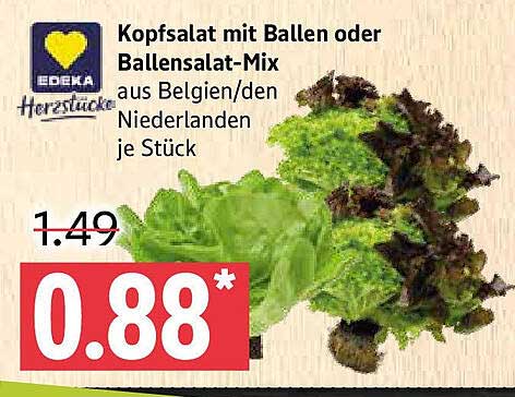 Kopfsalat mit Ballen oder Ballensalat-Mix aus Belgien/Niederlanden je Stück