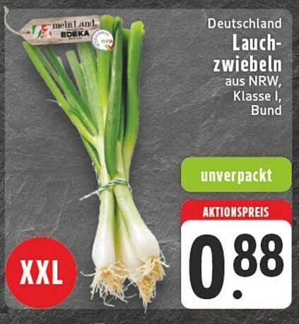 Lauchzwiebeln aus NRW, Klasse I, Bund