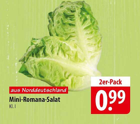 Mini-Romana-Salat 2er-Pack