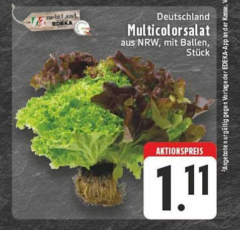Multicolorsalat aus NRW, mit Ballen, Stück