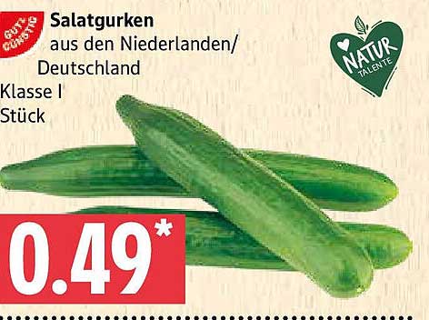 Salatgurken aus den Niederlanden/Deutschland - Klasse I