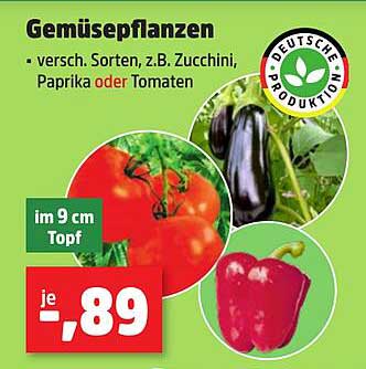 Gemüseplatten - verschiedene Sorten z.B. Zucchini, Paprika oder Tomaten im 9 cm Topf