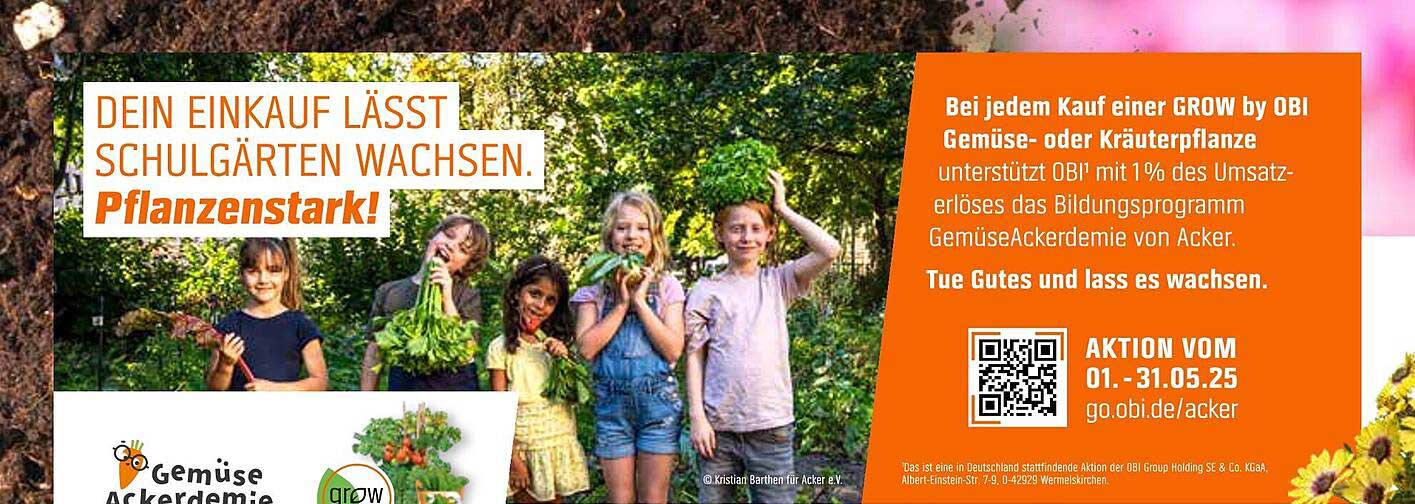 GROW by OBI Gemüse- und Kräuterpflanze