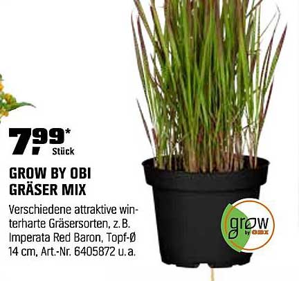 GROW BY OBI GRÄSER MIX