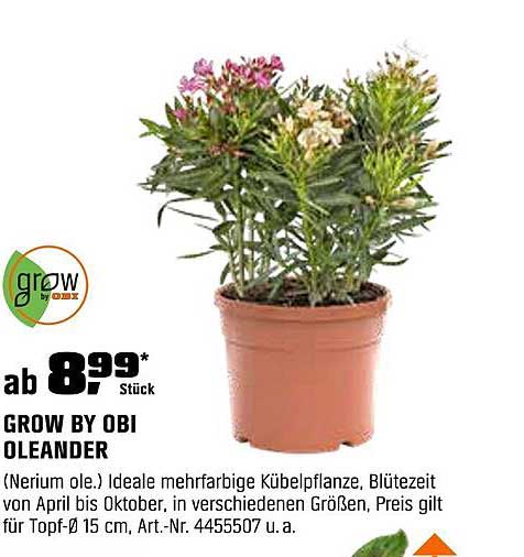 GROW BY OBI OLEANDER