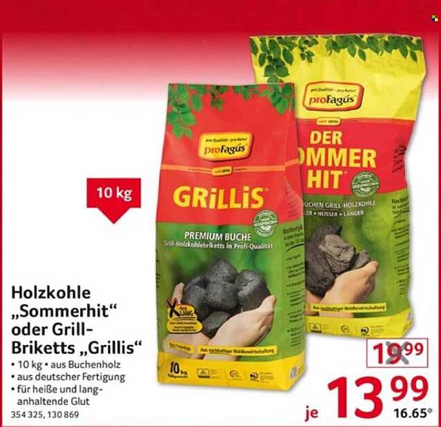 Holzkohle "Sommerhit" oder Grill-Briketts "Grillis" 10 kg