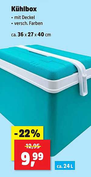 Kühlbox mit Deckel - erhältlich in verschiedenen Farben