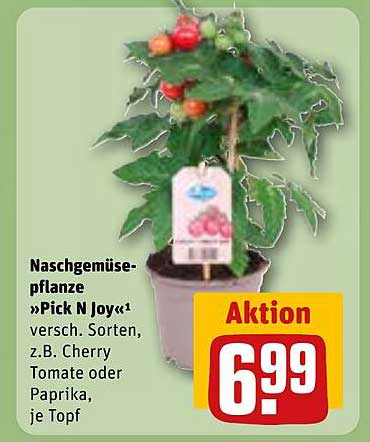 Naschgemüsepflanze »Pick N Joy« - verschiedene Sorten