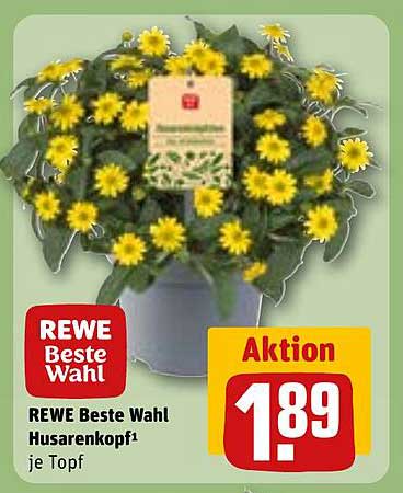 REWE Beste Wahl Husarenkopf je Topf