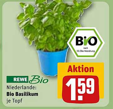 REWE Bio: Bio Basilikum je Topf