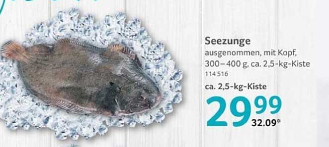 See zu nge – Ausgenommen, mit Kopf, 300–400 g, ca. 2,5-kg-Kiste