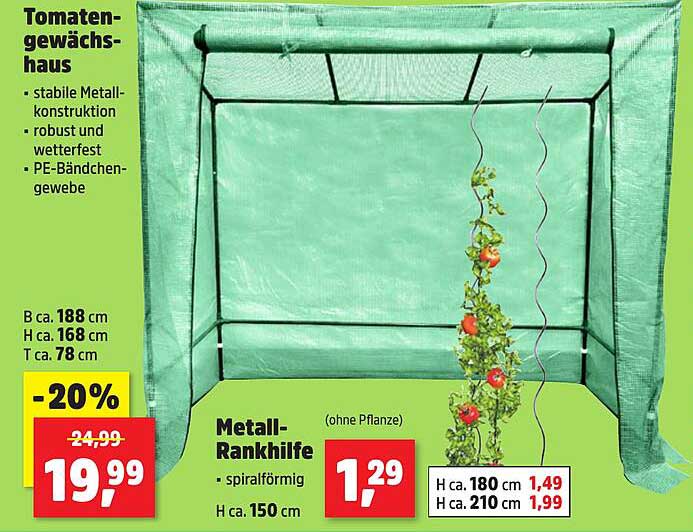 Tomatengewächshaus mit Metall-Rankhilfe