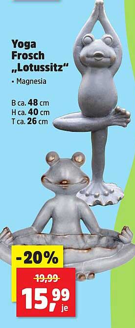 Yoga Frosch „Lotussitz“