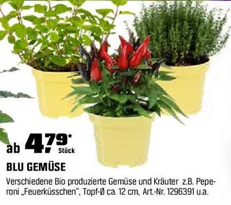 BLU GEMÜSE - Verschiedene Bio produzierte Gemüse und Kräuter