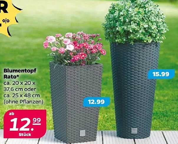 Blumentopf Rato*