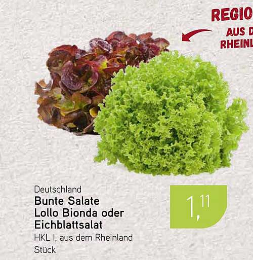 Bunte Salate Lollo Bionda oder Eichblatt-Salat HKL I, aus dem Rheinland