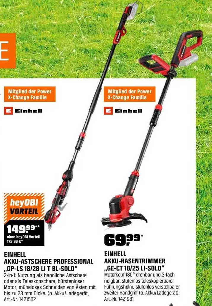 Einhell Akku-Astsäge Professional „GP-LS 18/28 Li T BL-SOLO“