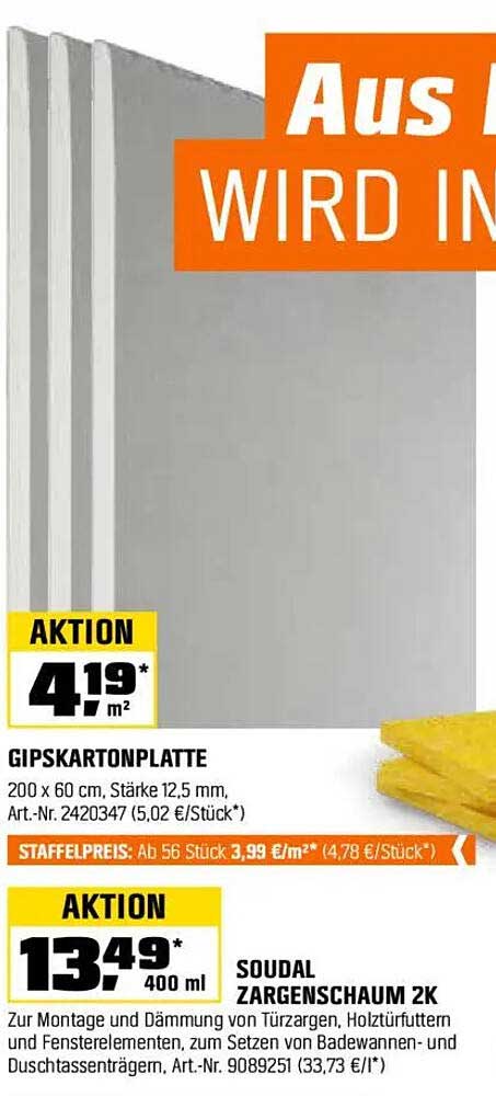 Gipskartonplatte 200 x 60 cm - Aktion für nur 4,19 € / m²