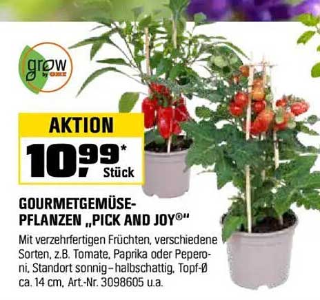Gourmetgemüse-Pflanzen 'Pick and Joy®'