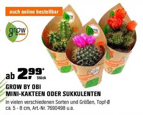 GROW BY OBI MINI-KAKTEEN ODER SUKKULENTEN