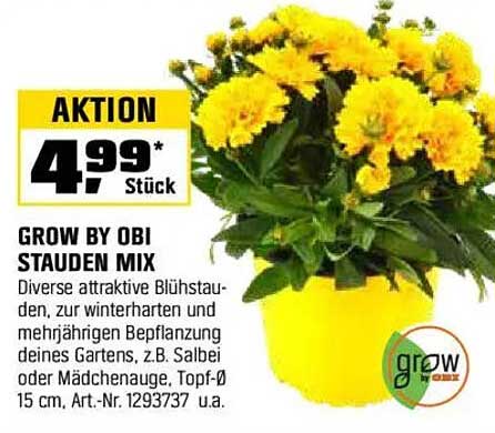 GROW BY OBI STAUDEN MIX