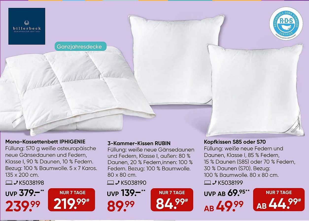 Mono-Kassettenbett IPHIGENIE, 3-Kammer-Kissen RUBIN und Kopfkissen S85 oder S70