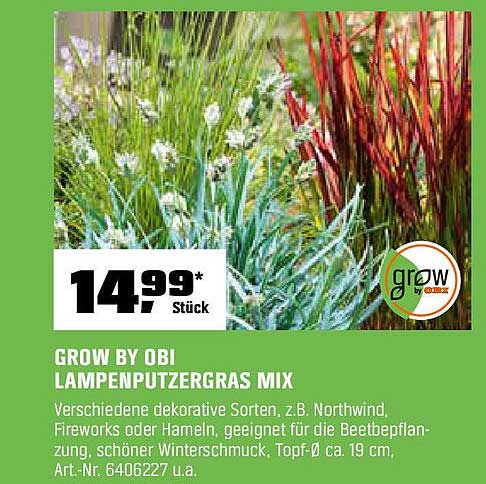 GROW BY OBI Lampenputzergras Mix