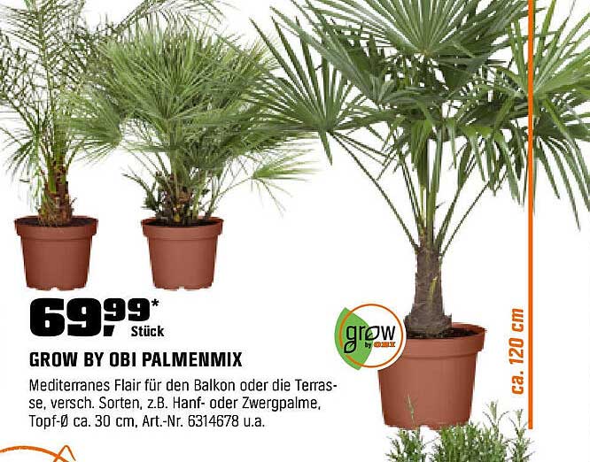 GROW BY OBI PALMENMIX