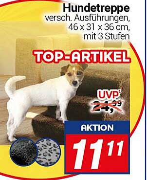 Hundetreppe 46 x 31 x 36 cm mit 3 Stufen - Jetzt zum Sonderpreis!