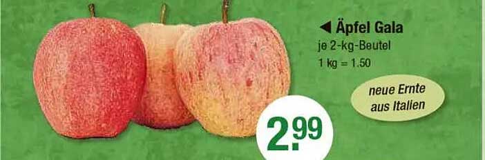 Äpfel Gala je 2-kg-Beutel