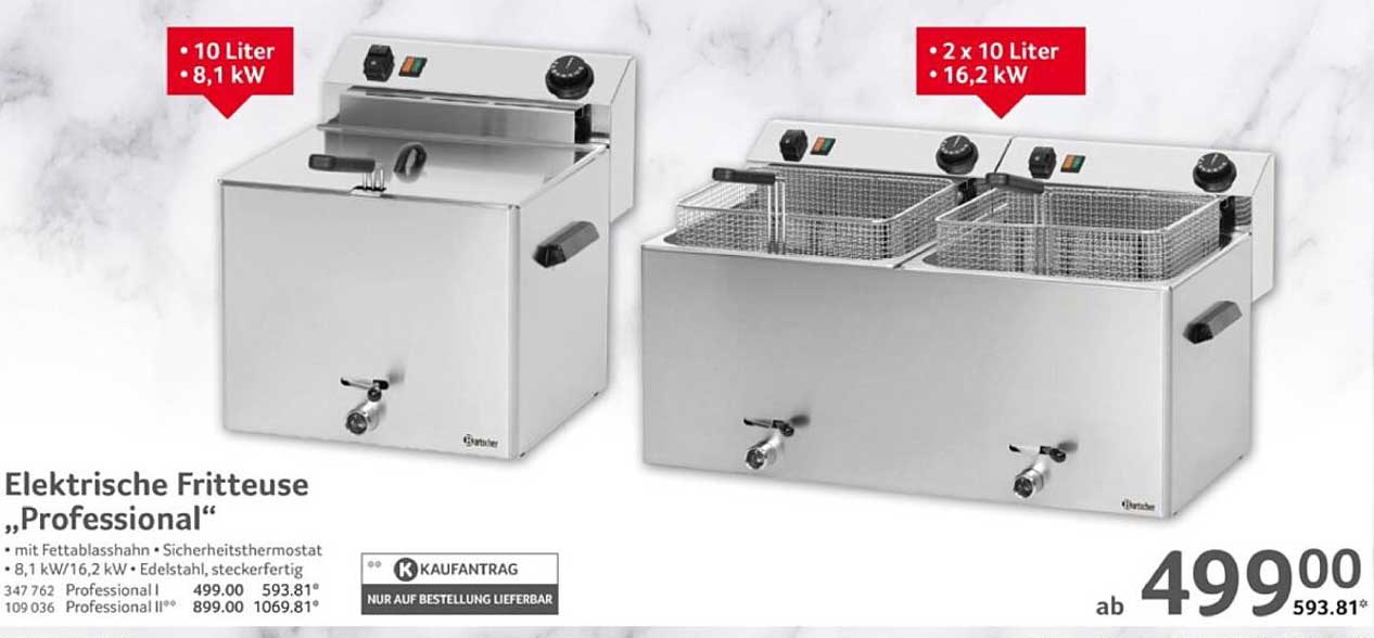 Elektrische Fritteuse "Professional"
