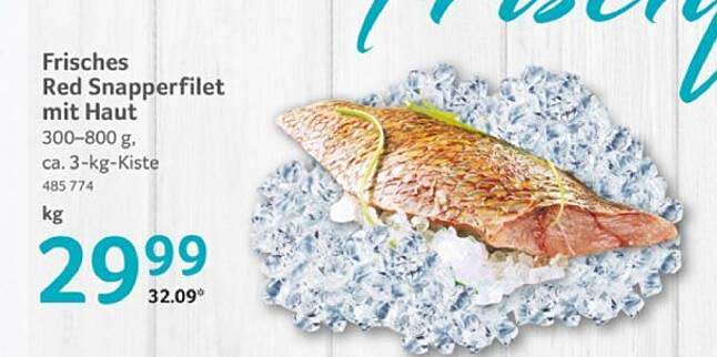 Frisches Red Snapperfilet mit Haut