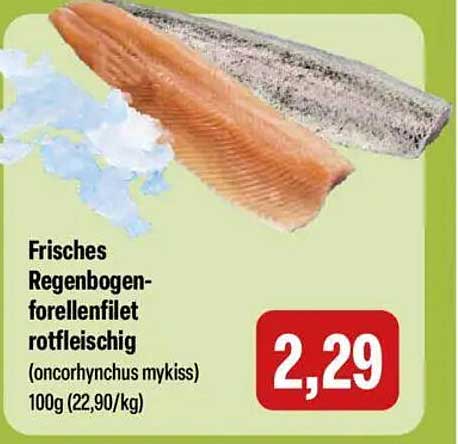 Frisches Regenbogenforellenfilet rotfleischig