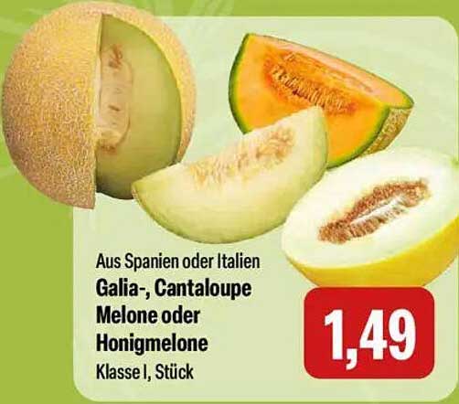 Galia-, Cantaloupe Melone oder Honigmelone - Klasse I, Stück