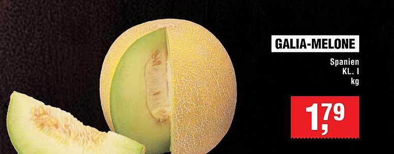 GALIA-MELONE - Spanien KL. I, 1 kg