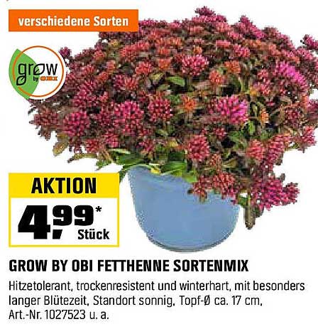 GROW BY OBI FETTHENNE SORTENMIX