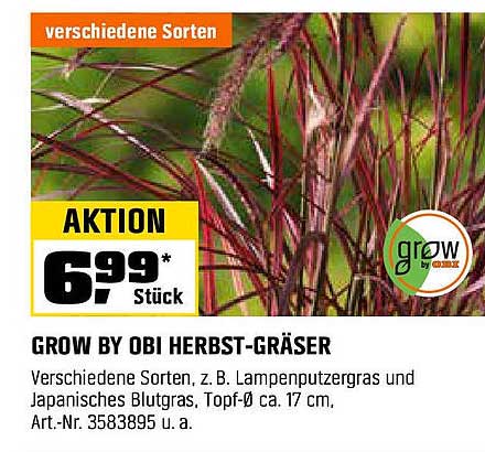 GROW BY OBI HERBST-Gräser