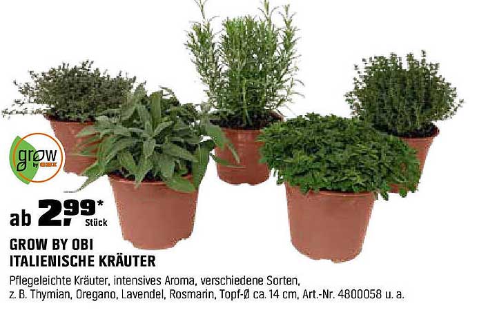 Grow by OBI Italienische Kräuter