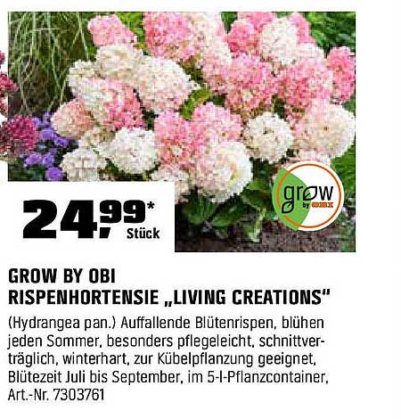 GROW BY OBI RISSPENHORTENSIE „LIVING CREATIONS“