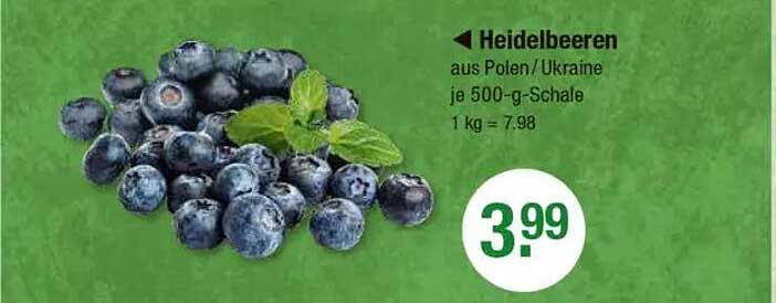 Heidelbeeren aus Polen/Ukrainie 500-g-Schale