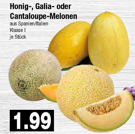 Honig-, Galia- oder Cantaloupe-Melonen aus Spanien/Italien