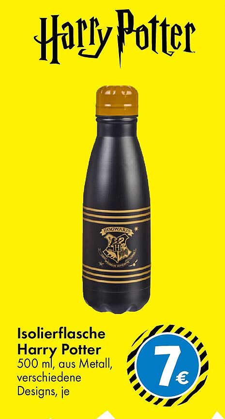 Isolierflasche Harry Potter 500 ml aus Metall, verschiedene Designs