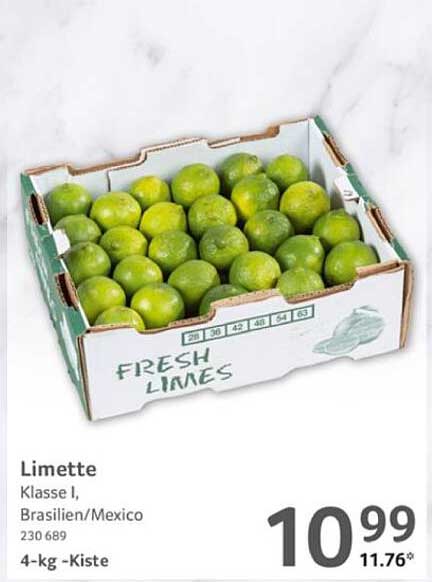 Limette Klasse I aus Brasilien/Mexiko - 4 kg-Kiste