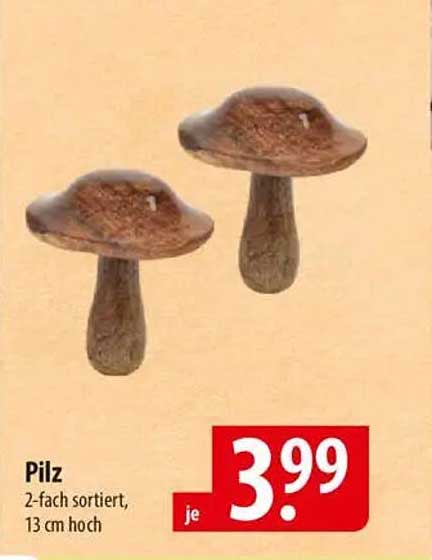 Pilz 2-fach sortiert, 13 cm hoch